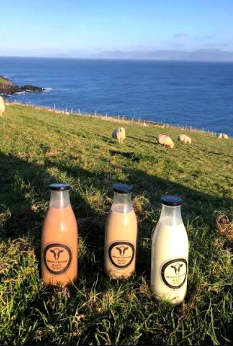Behan's Bainne Blasta strawberry, chocolate and milk bottles on grass above the Kerry coastline with sheep grazing